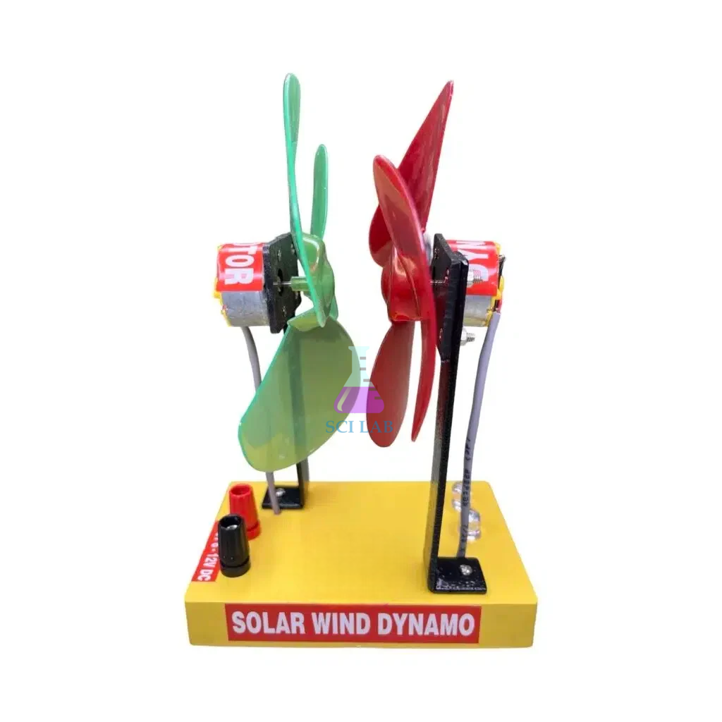 Solar Wind Dynamo Model For Lab